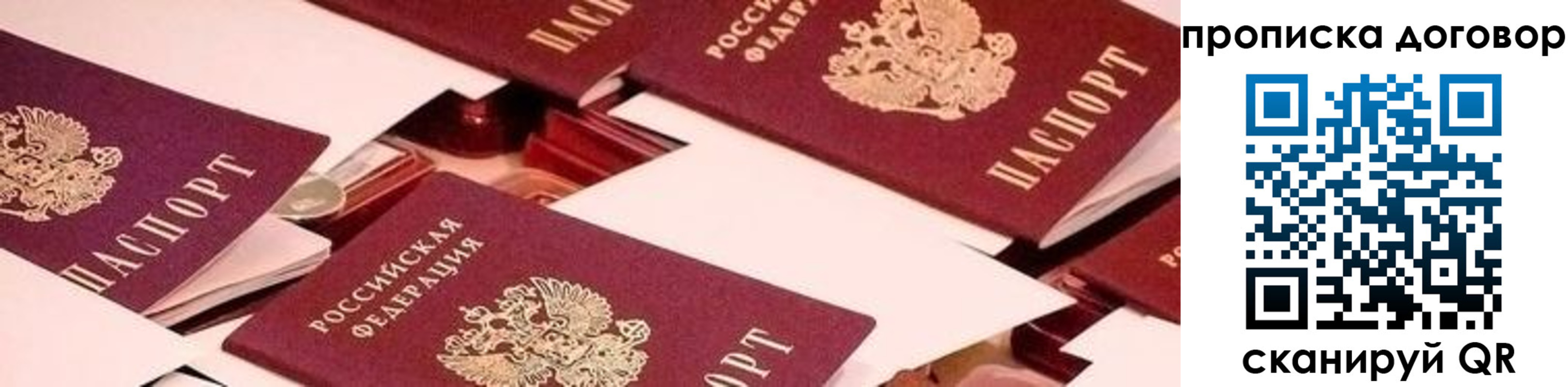 прописка для школы в Великом Новгороде